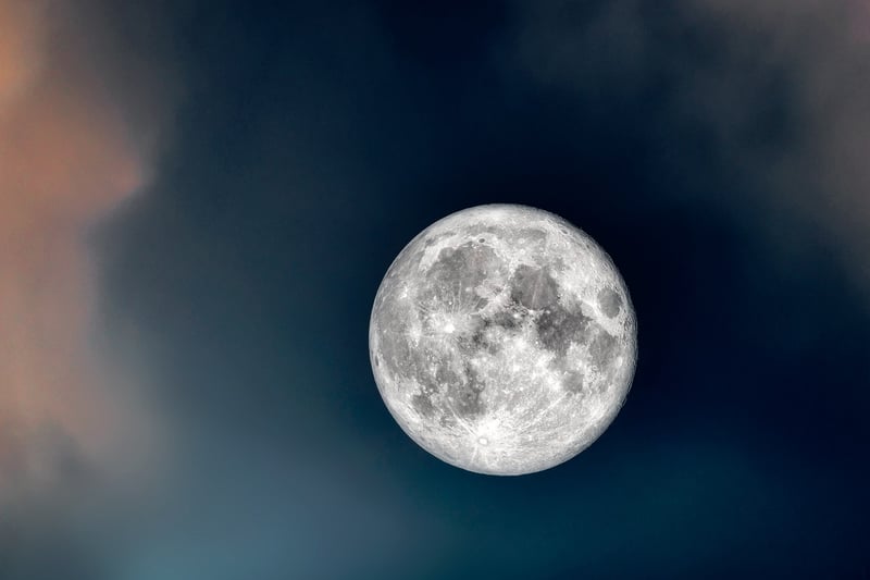Moonlit Reception
